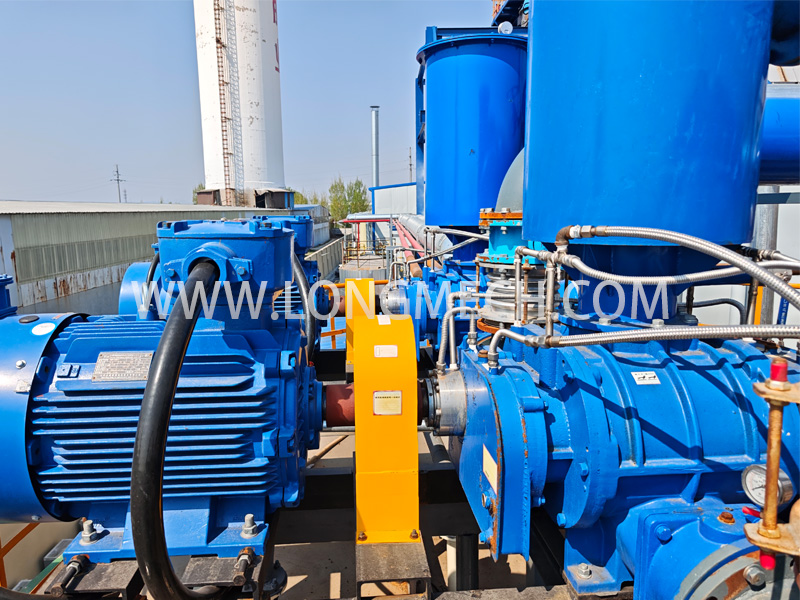 Exlosion-proof Roots blower