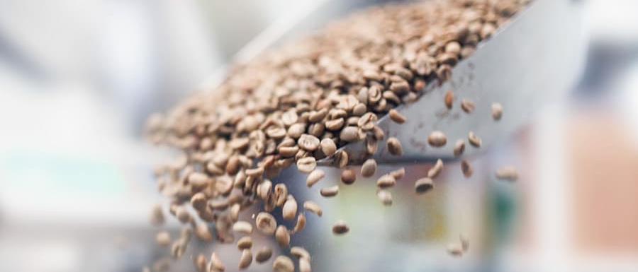 Food processing services