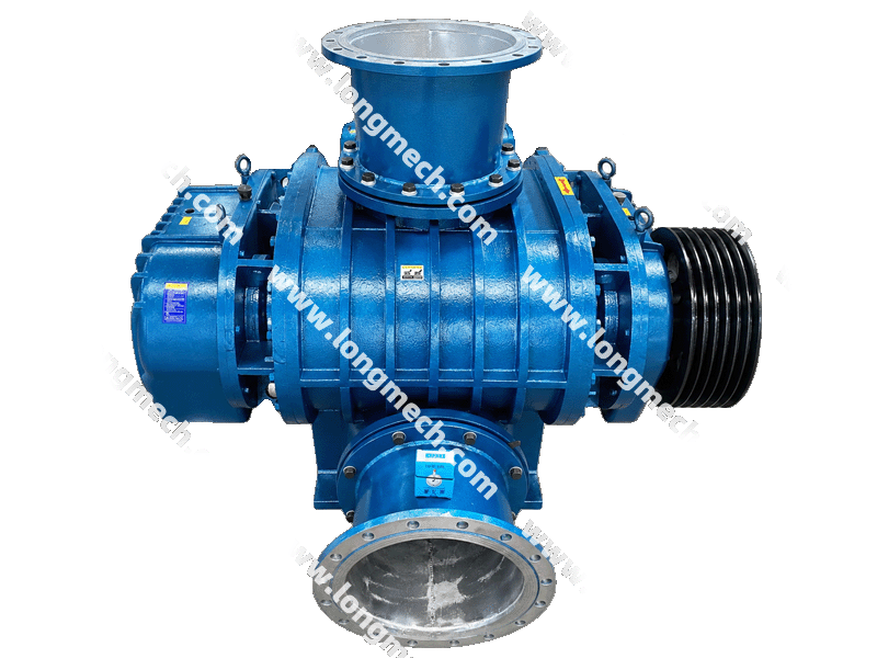 Stainless Steel Roots Blower