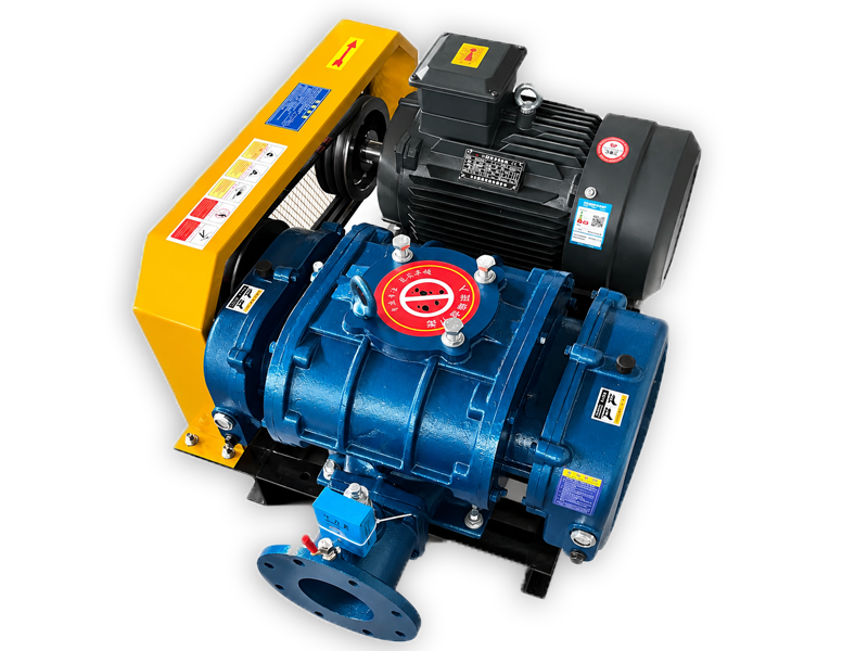 LSR Series Roots blower